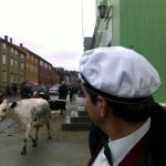 like barn leker best